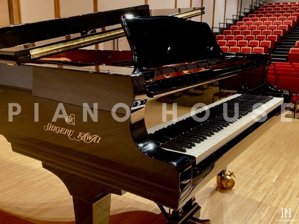 Shigeru Kawai  SK-EX
