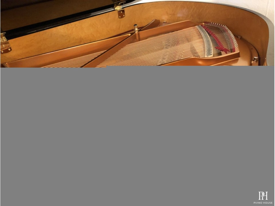 Shigeru Kawai  SK-2