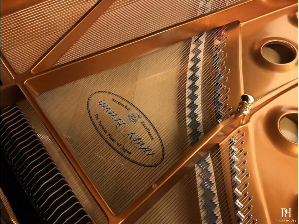 Shigeru Kawai  SK-2