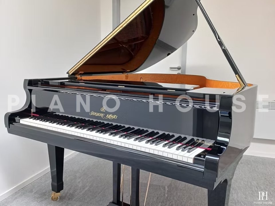 Shigeru Kawai  SK-2