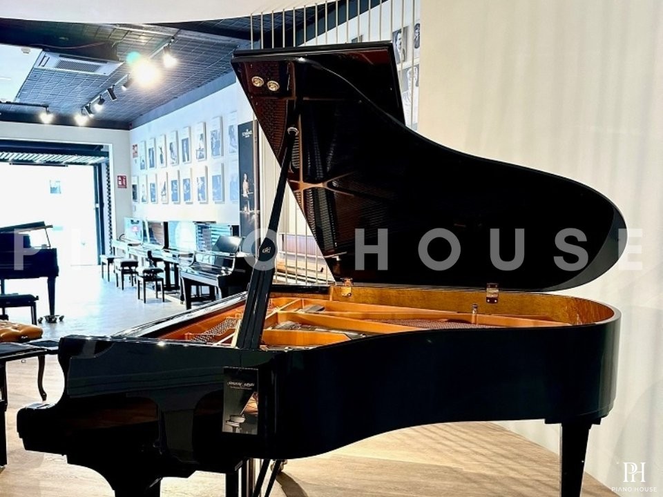 Shigeru Kawai  SK-3