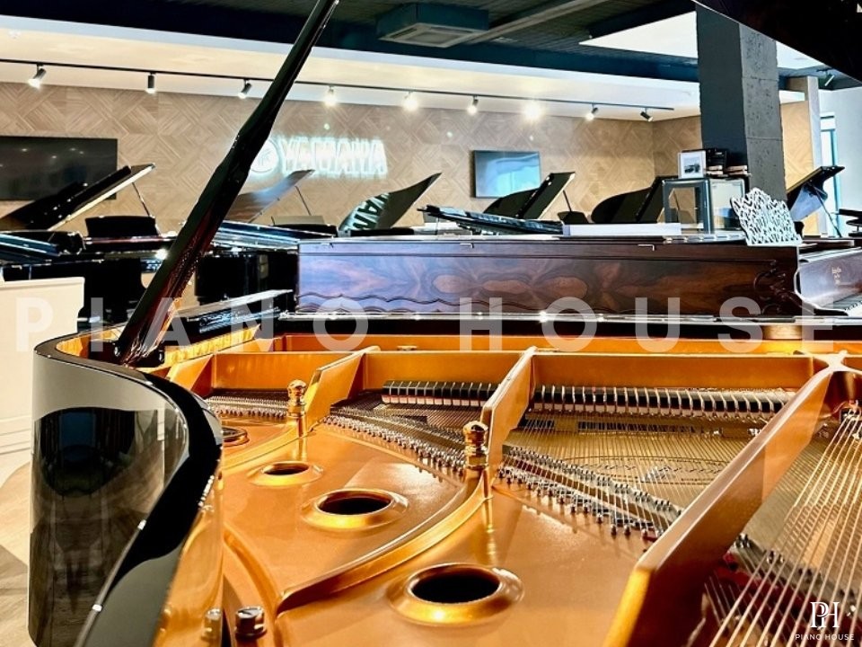 Shigeru Kawai  SK-3