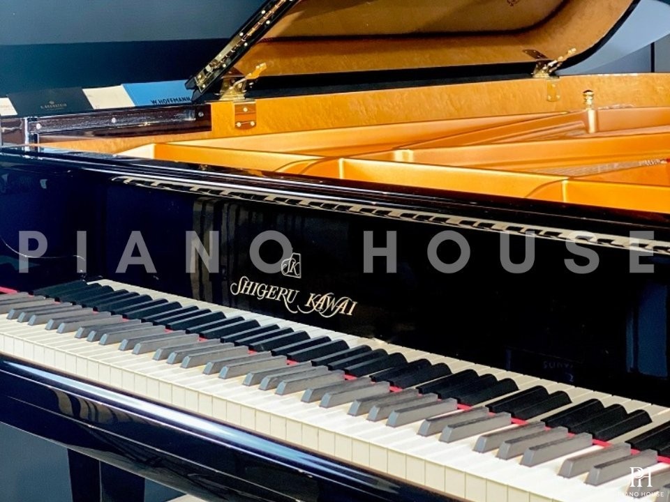 Shigeru Kawai  SK-5