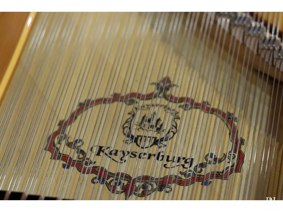 Kayserburg GH275