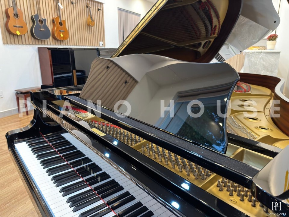 YAMAHA C7 Seri 3.3