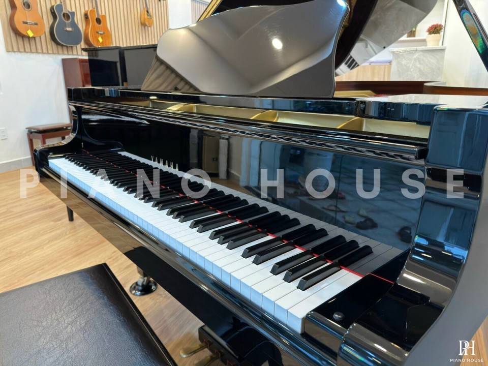 YAMAHA C7 Seri 3.3