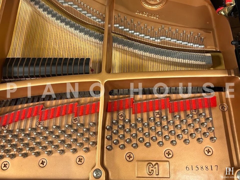 YAMAHA C1 PE (USED)