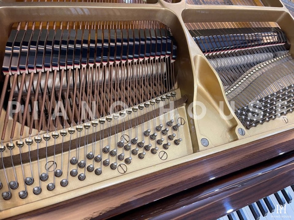YAMAHA C3B PW Autoplay