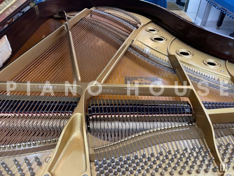 YAMAHA C3B PW Autoplay