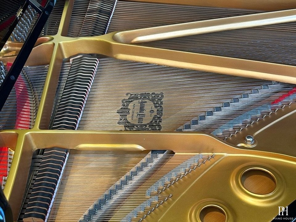 YAMAHA C5 PE