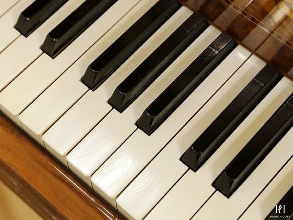 YAMAHA CC Emperor