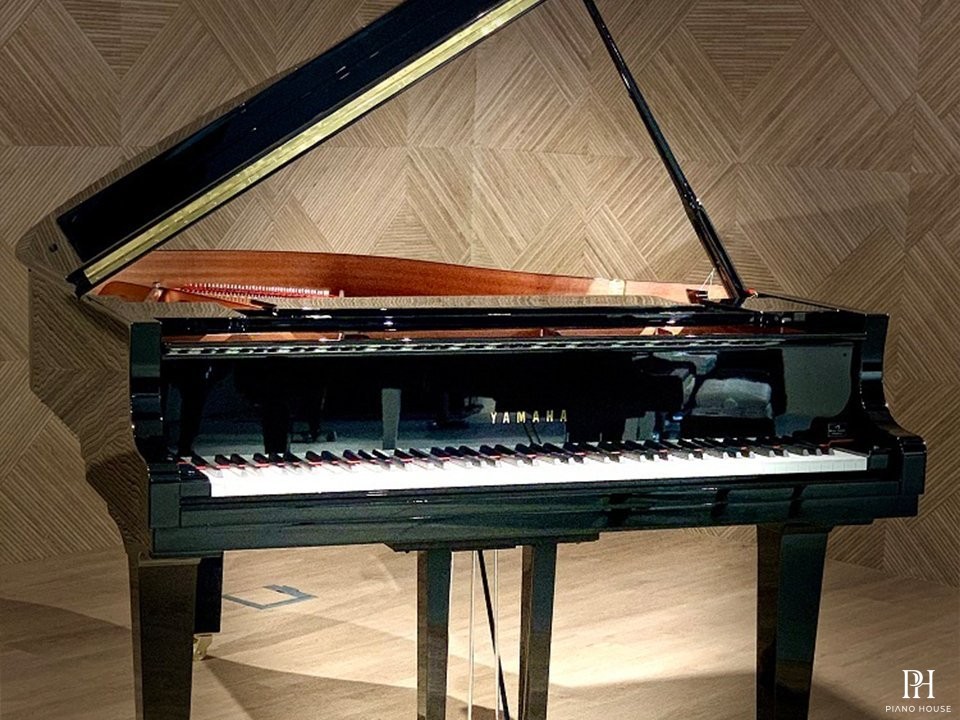 YAMAHA C1X