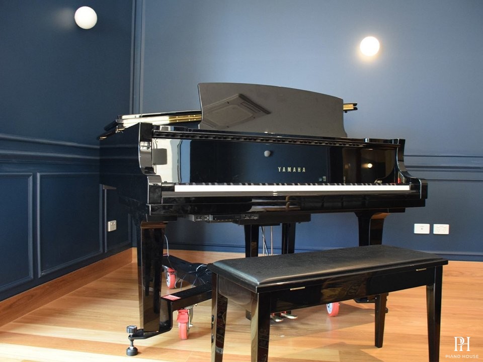 YAMAHA C2 PE