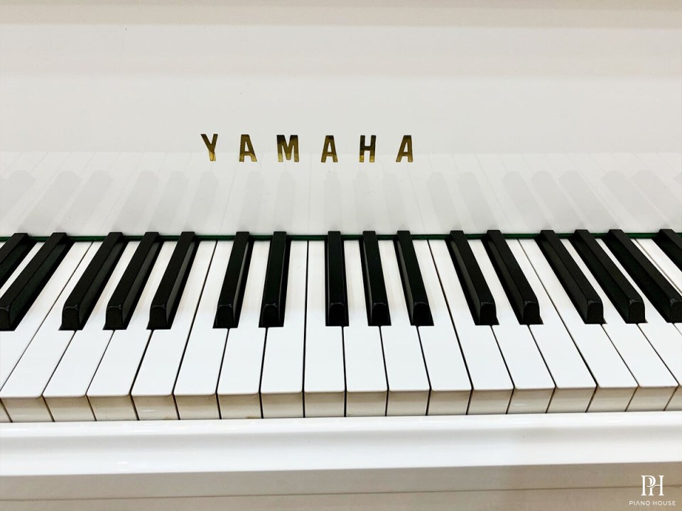 YAMAHA C5 Wh
