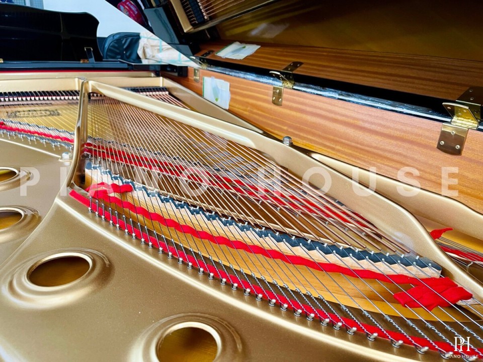 YAMAHA C7B seri 4.8
