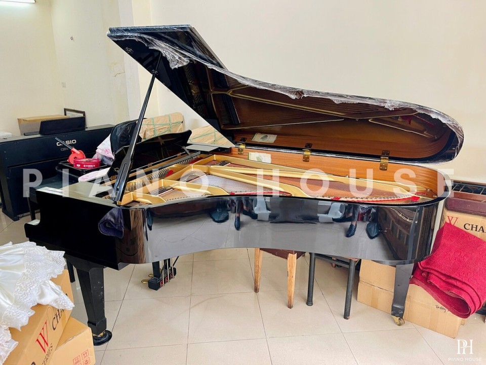 YAMAHA C7B seri 4.8