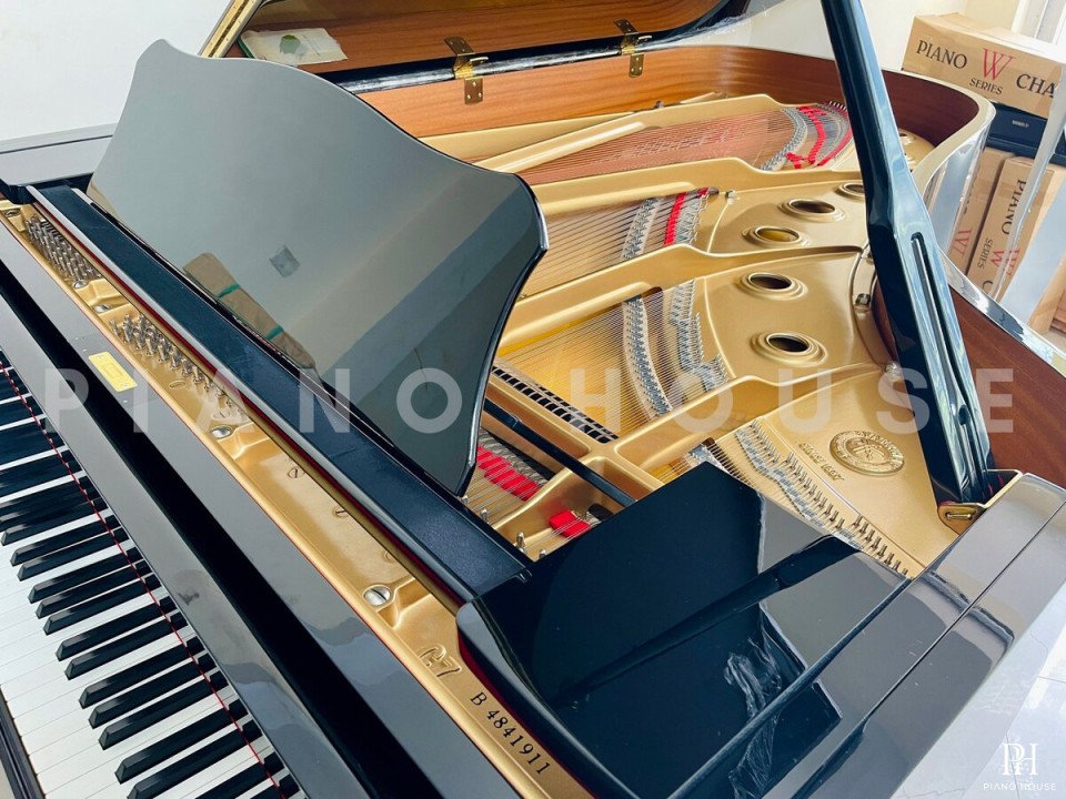 YAMAHA C7B seri 4.8