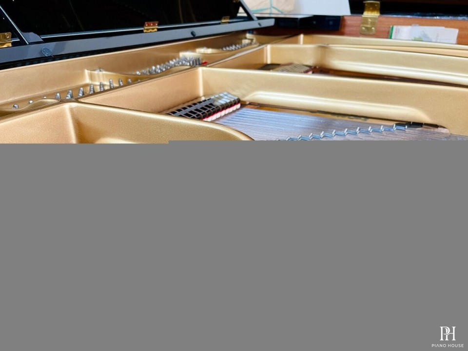 YAMAHA C7B seri 4.8