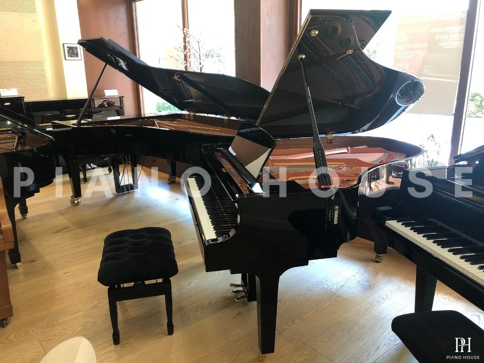 YAMAHA C2X