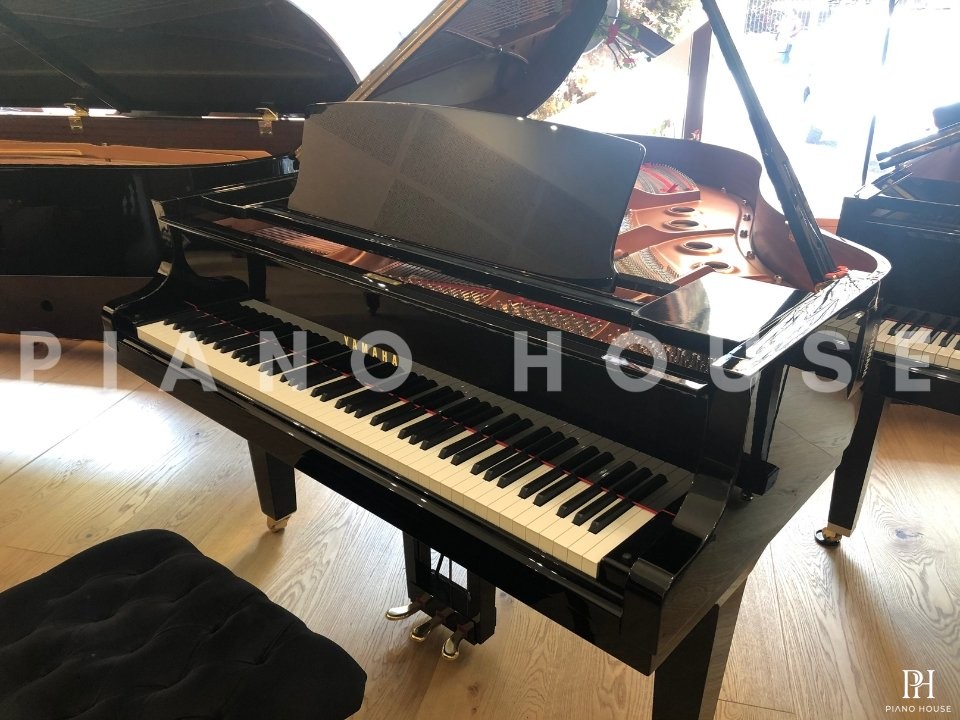 YAMAHA C2X