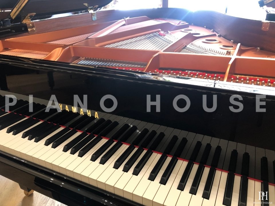 YAMAHA C2X