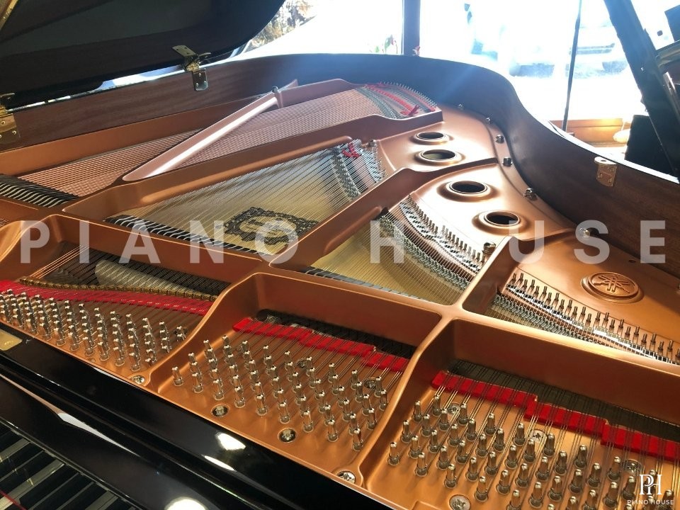 YAMAHA C2X