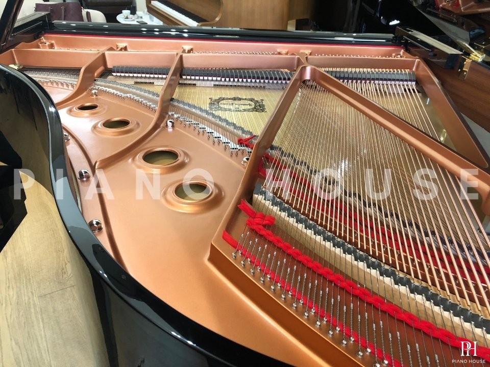 YAMAHA C2X
