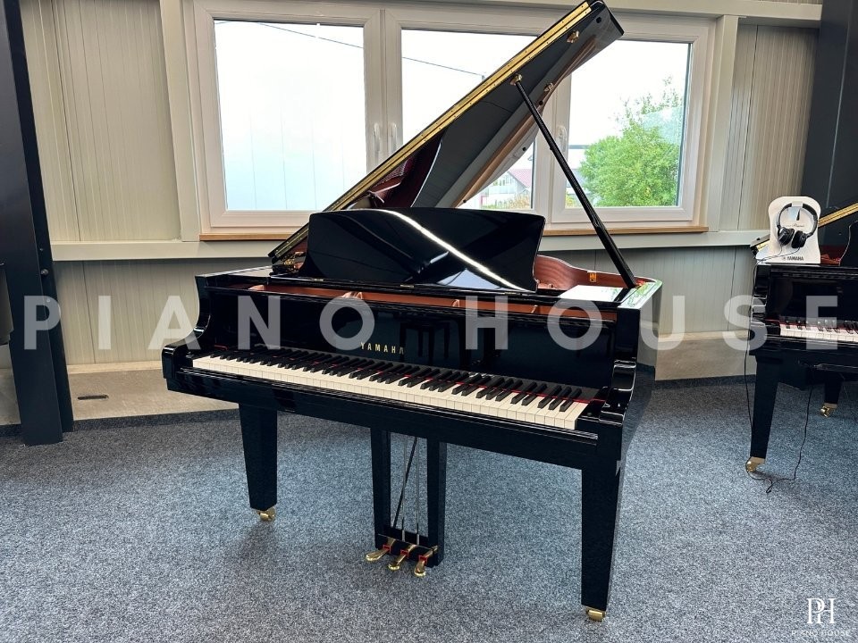 YAMAHA C1X