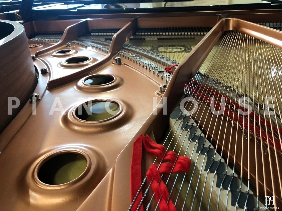 YAMAHA C5X