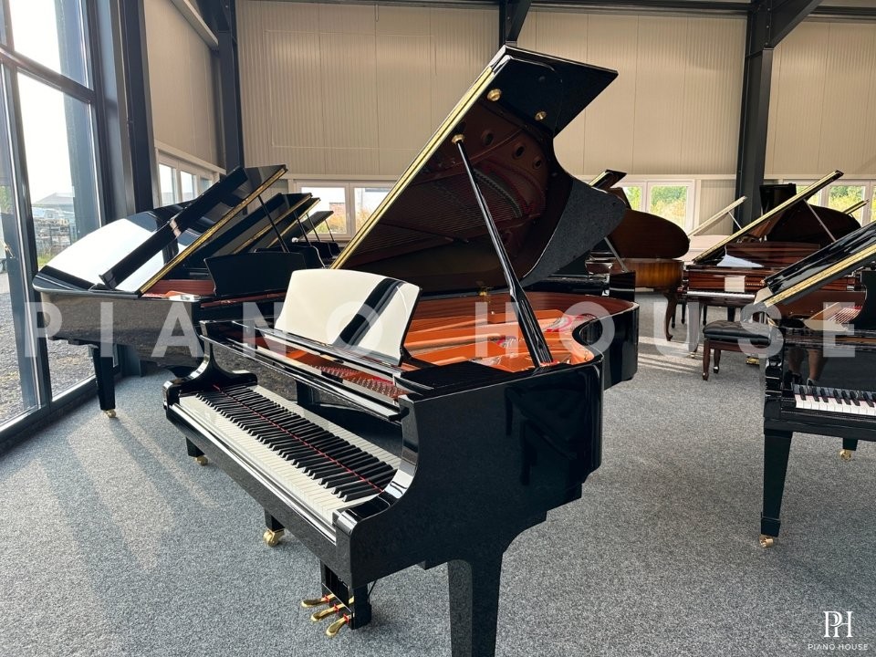 YAMAHA C6X