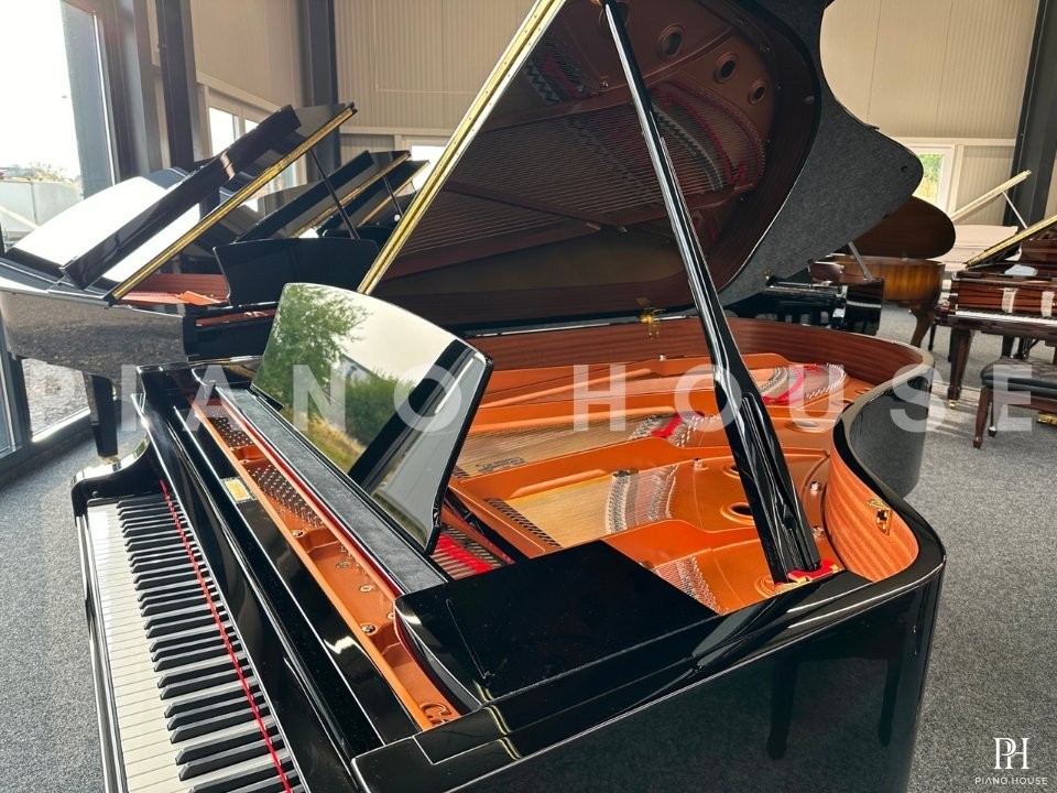 YAMAHA C6X