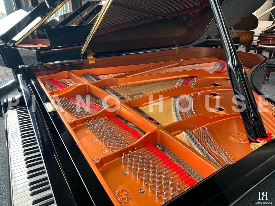 YAMAHA C6X