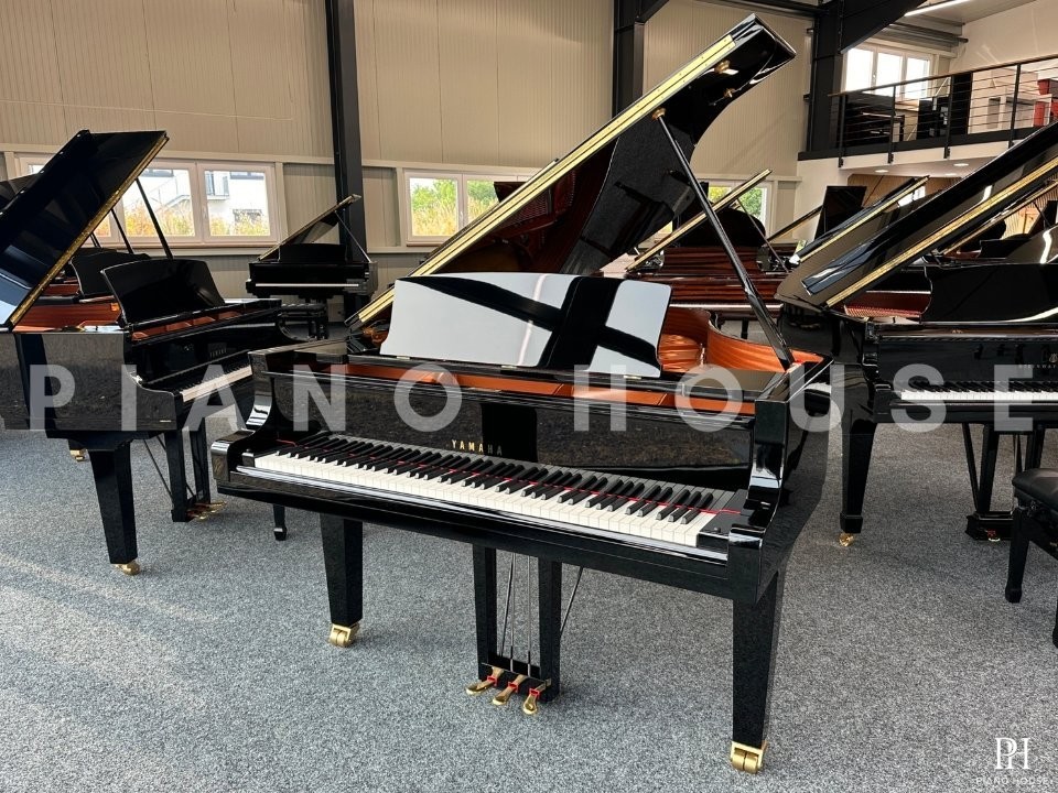 YAMAHA C6X