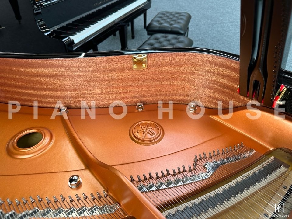 YAMAHA C6X