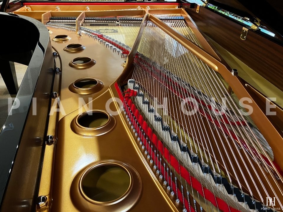 YAMAHA CFX (Next Generation)