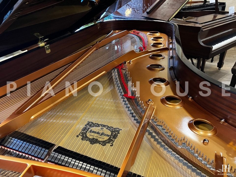 YAMAHA CFX (Next Generation)
