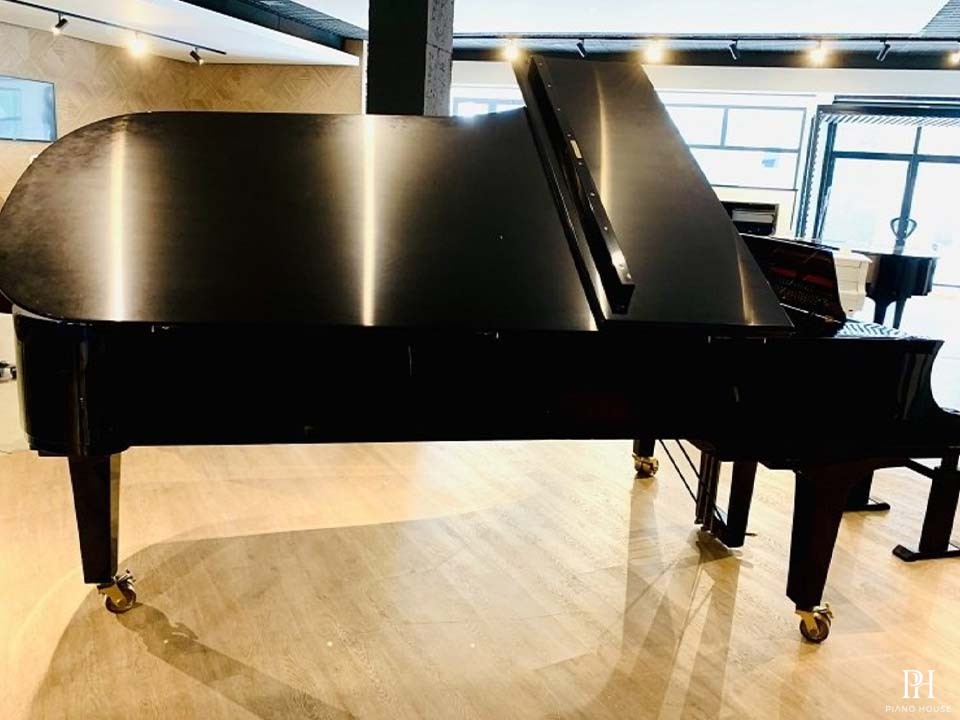 YAMAHA CFX (2010)