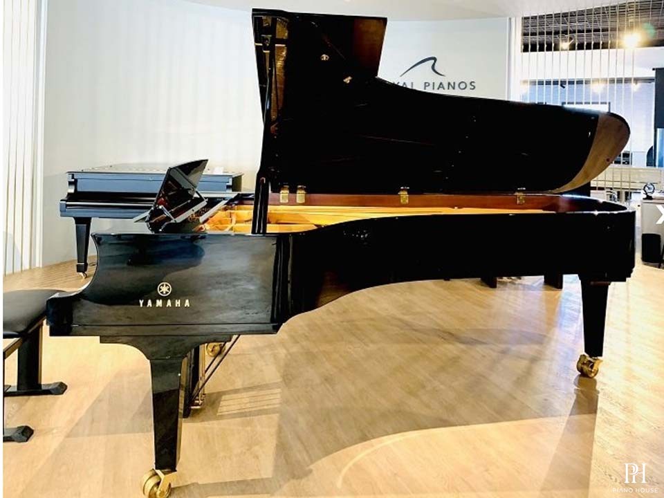 YAMAHA CFX (2010)