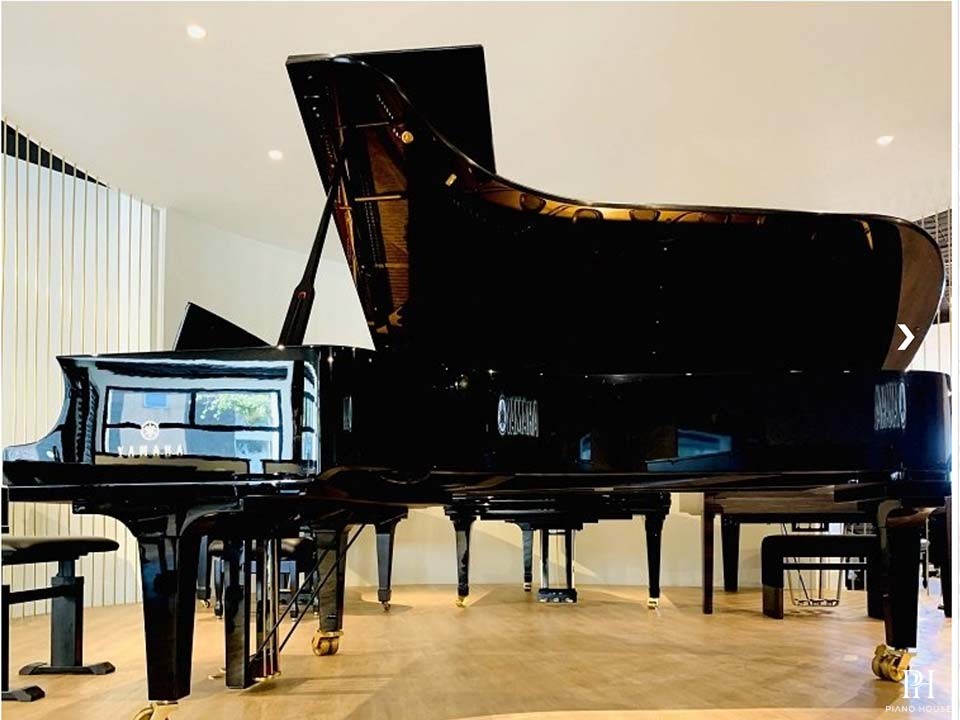 YAMAHA CFX (2010)
