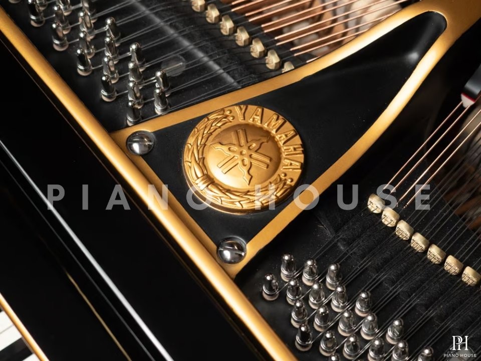 Yamaha G2 Black & Gold Polyester
