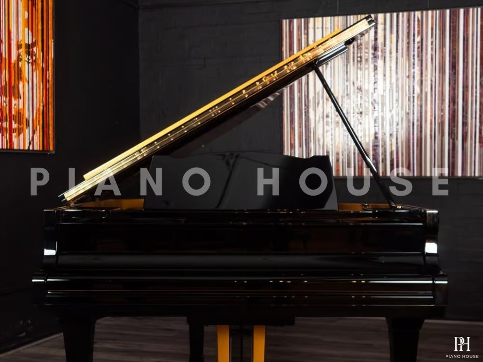 Yamaha G2 Black & Gold Polyester