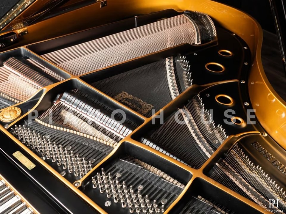 Yamaha G2 Black & Gold Polyester