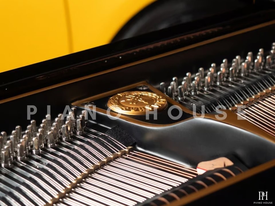 Yamaha G2 Black & Gold Polyester