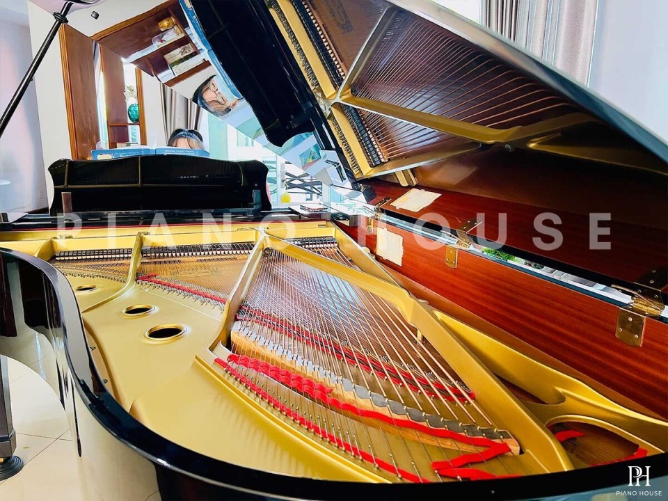 YAMAHA C7 Seri 3.6