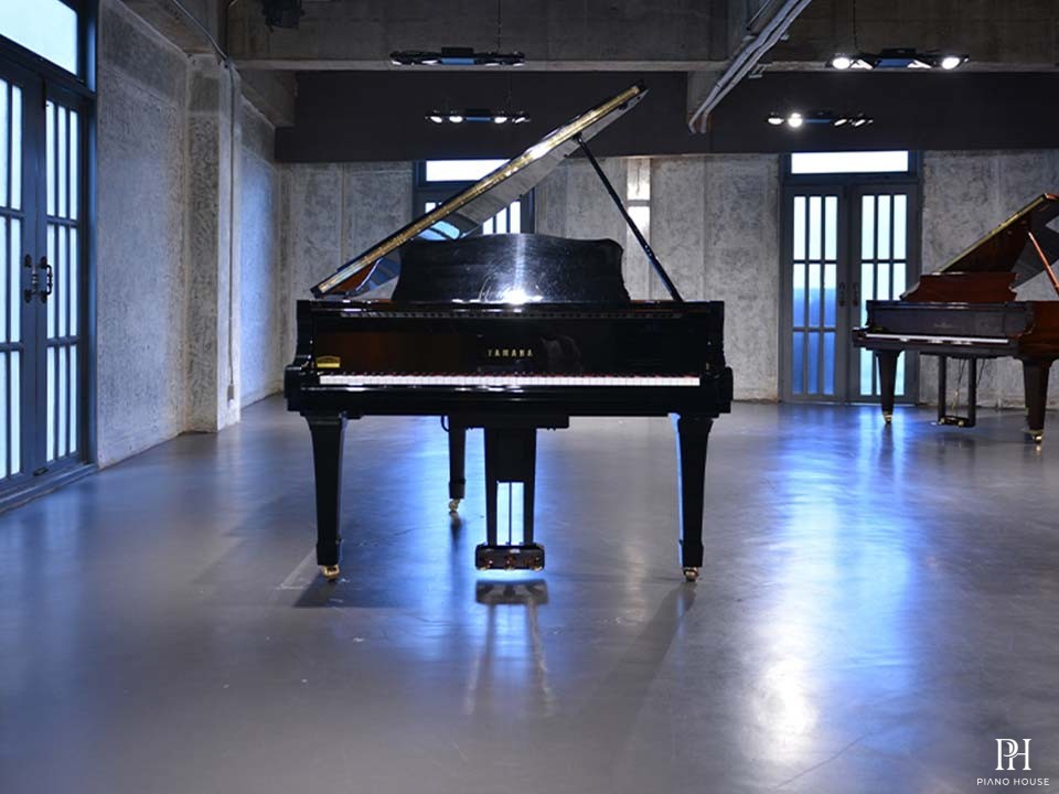 YAMAHA G1 PE