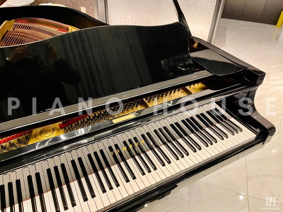 YAMAHA G3A