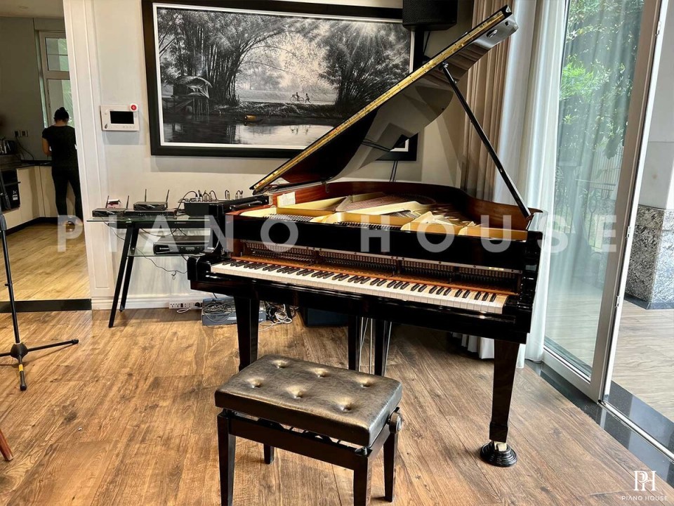 YAMAHA C3E