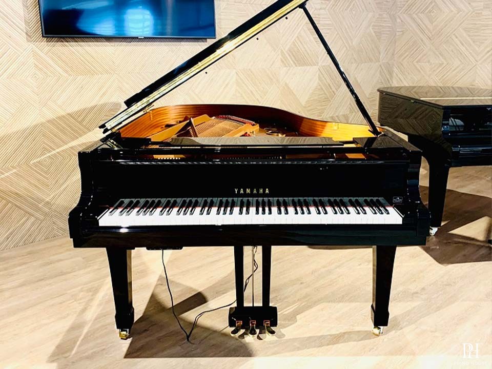 YAMAHA C3E