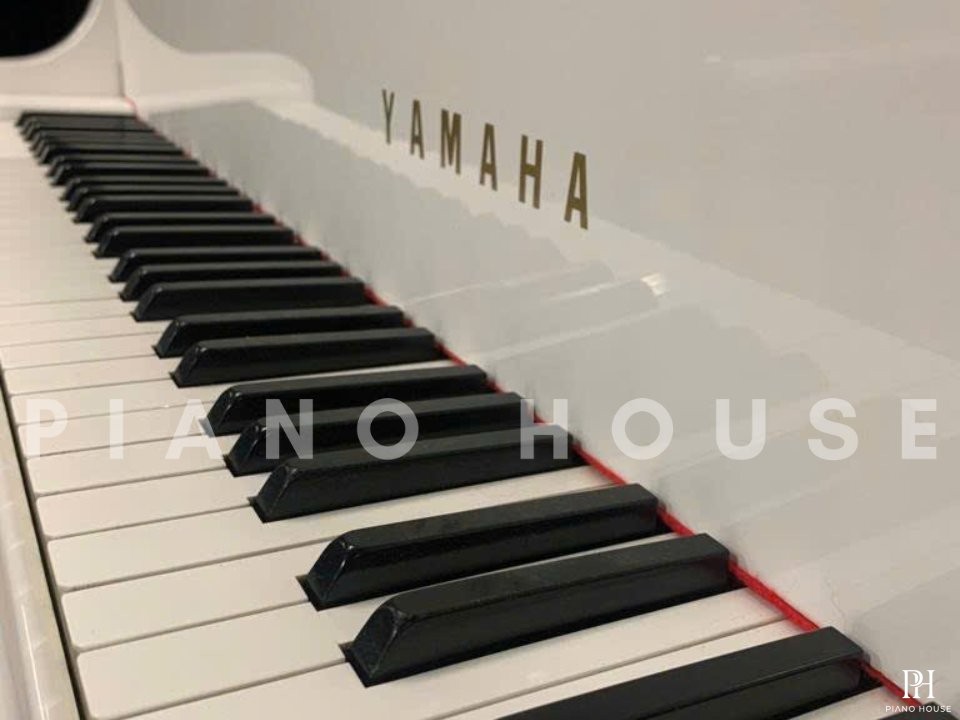 YAMAHA G2 WH