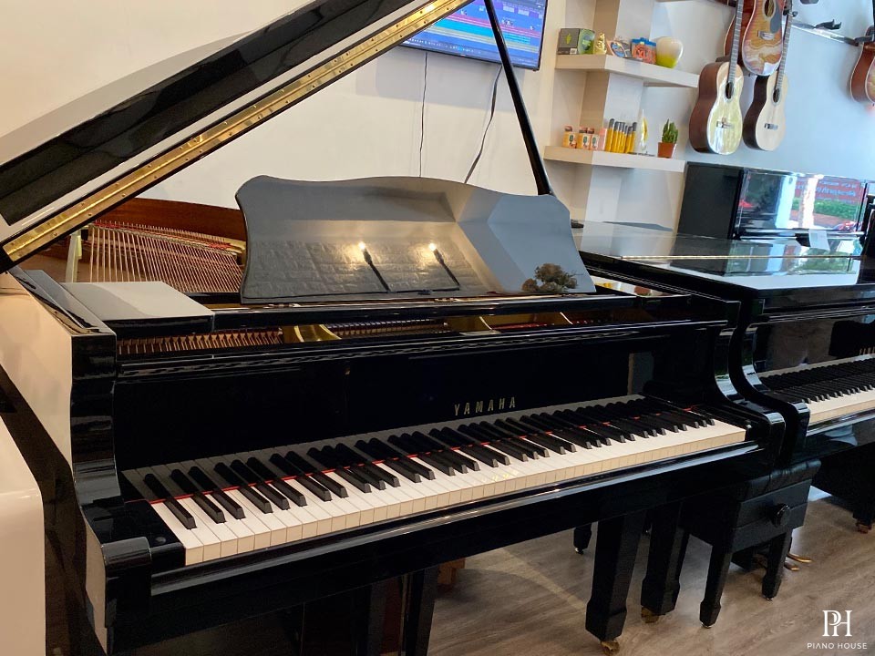 YAMAHA G5B (Seri 4.7)
